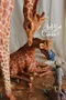 carousel chooser