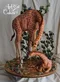 carousel chooser
