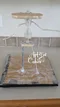 carousel chooser