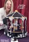 carousel chooser