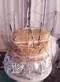 carousel chooser