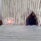 carousel chooser