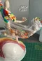 carousel chooser
