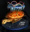 carousel chooser